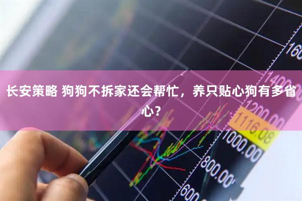 长安策略 狗狗不拆家还会帮忙，养只贴心狗有多省心？