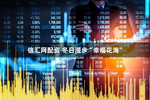 信汇网配资 冬日漫步“幸福花海”